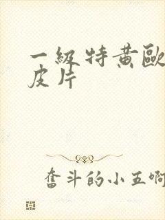 一级特黄欧美曰皮片