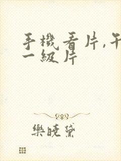 手机看片,午夜一级片