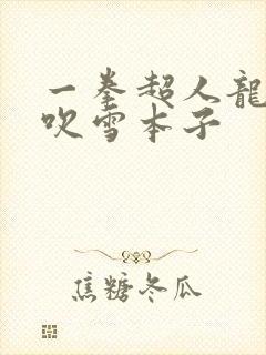 一拳超人龙卷和吹雪本子封面