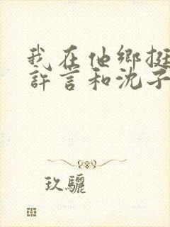 我在他乡挺好的许言和沈子畅结局封面