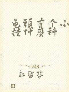 龟头有个小红点挂什么科封面