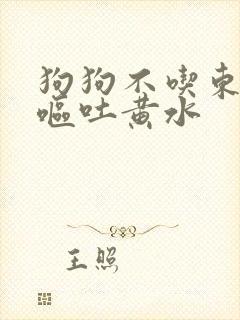 狗狗不吃东西还呕吐黄水