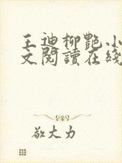 王迪柳艳小说全文阅读在线