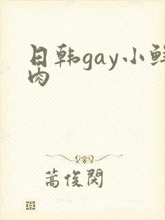 日韩gay小鲜肉
