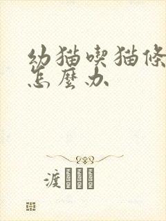 幼猫吃猫条拉稀怎么办