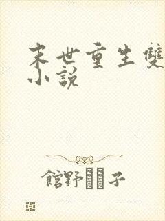 末世重生双男主小说