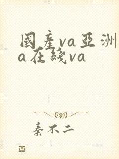 国产va亚洲va在线va