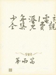 少年派1电视剧全集免费观看完整版