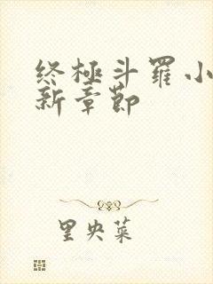 终极斗罗小说最新章节