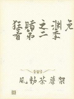 狂赌之渊免费观看第二季