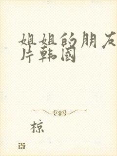 姐姐的朋友伦理片韩国