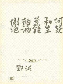 侧柏叶和何首乌泡酒能生发吗