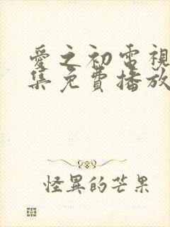 爱之初电视剧全集免费播放