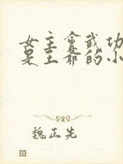 女主会武功男主是王爷的小说封面