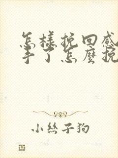 怎样挽回感情分手了怎么挽回