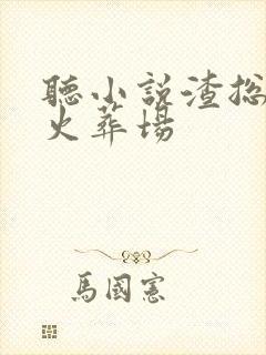 听小说渣总追妻火葬场封面