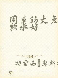 同桌的大兔子好软水好