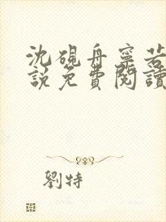 沈砚舟宁若曦小说免费阅读