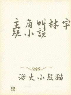 主角叫林宇的系统小说