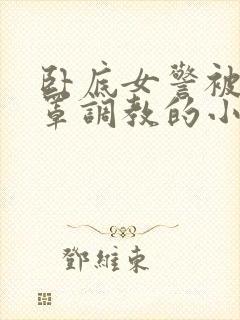 卧底女警被戴乳罩调教的小说封面