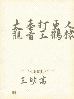 大奉打更人免费观看王鹤棣