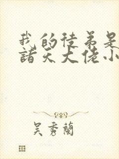 我的徒弟是未来诸天大佬小说