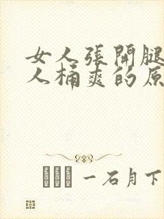 女人张开腿让男人桶爽的原文