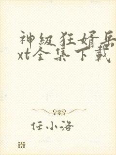 神级狂婿岳峰txt全集下载