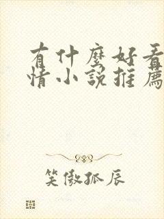 有什么好看的言情小说推荐封面