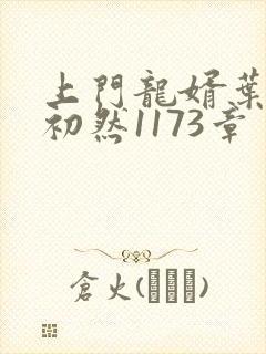 上门龙婿叶辰萧初然1173章封面