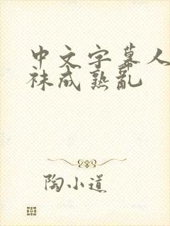 中文字幕人妻丝袜成熟乱封面