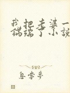 我把老婆一家一锅端了小说封面