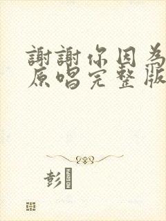 谢谢你因为有你原唱完整版封面