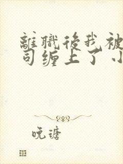 离职后我被前上司缠上了 小说