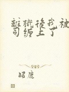 离职后我被前上司缠上了