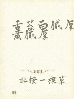 舌苔白腻厚变成黄腻厚