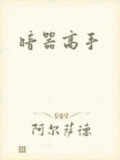 暗器高手