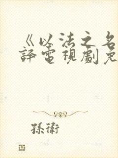 《以法之名》张译电视剧免费观看