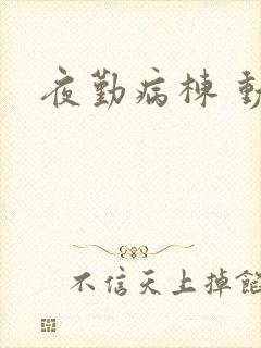 夜勤病栋 动漫