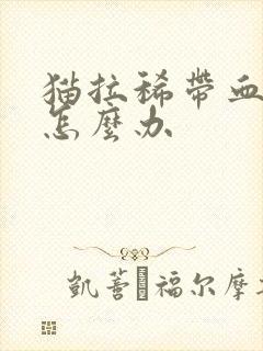 猫拉稀带血呕吐怎么办