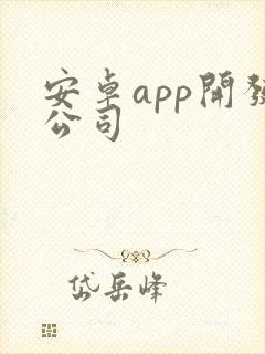 安卓app开发公司