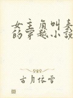 女主角叫秦悠悠的穿越小说封面