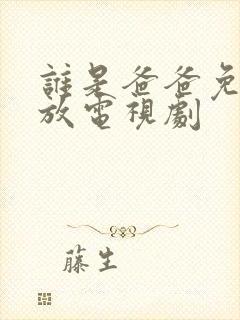 谁是爸爸免费播放电视剧