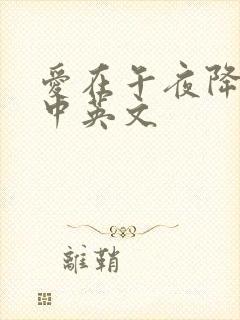 爱在午夜降临前中英文