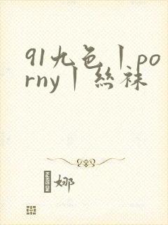 91九色丨porny丨丝袜封面