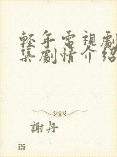 轻年电视剧40集剧情介绍封面