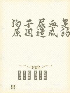 狗子尿血是什么原因造成的