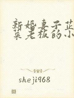 新婚妻子芷姗与菜老板的小说