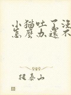 小猫吐了没精神怎么办还不吃东西封面