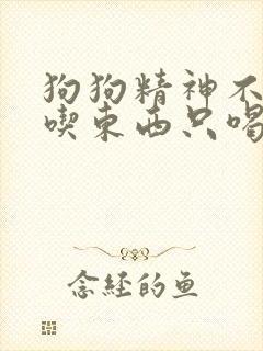 狗狗精神不好不吃东西只喝水,吐水封面